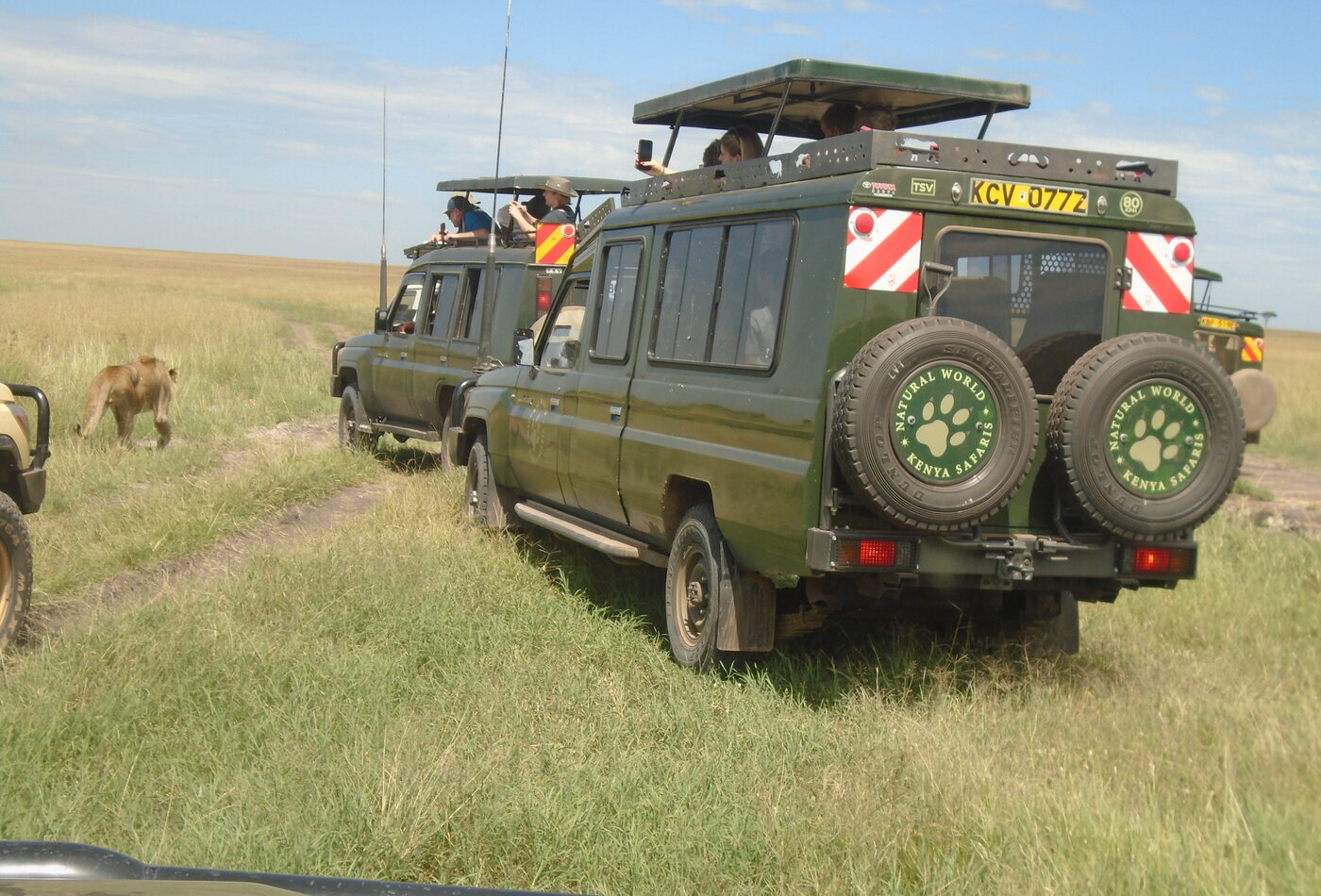 Safari budget planning in East Africa