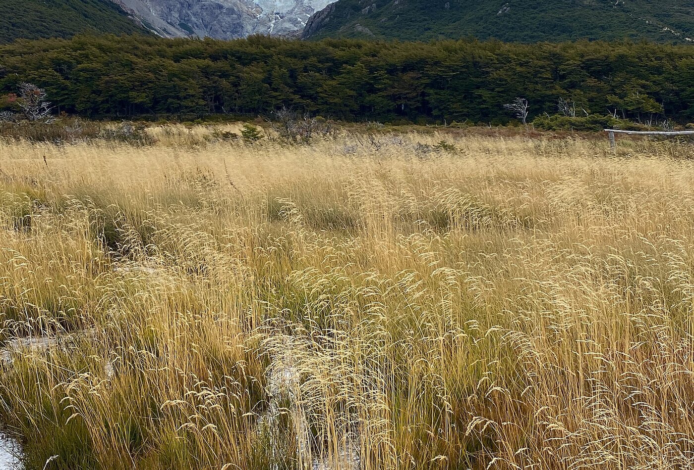 Fitz Roy Patagonia Argentina