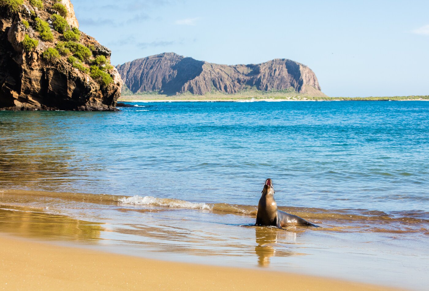 San Cristobal Galapagos season planning