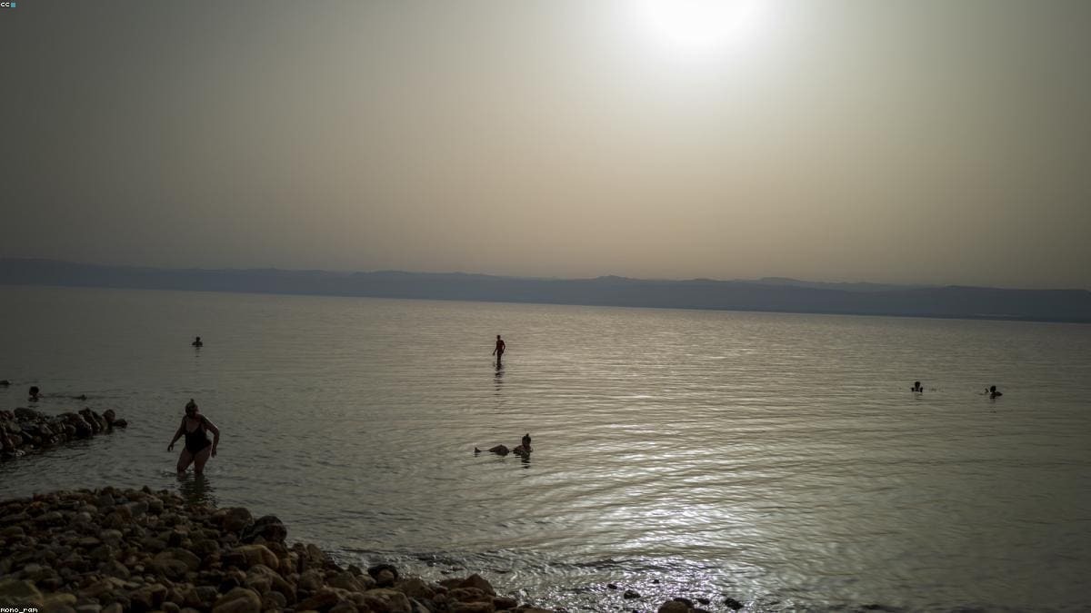 ОАЭ: Al Ain Oasis