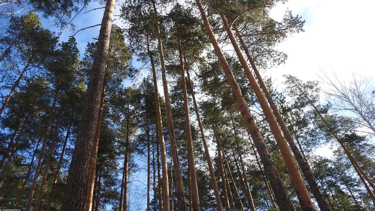 Владивосток и Приморье: Что не стоит соединять в один день