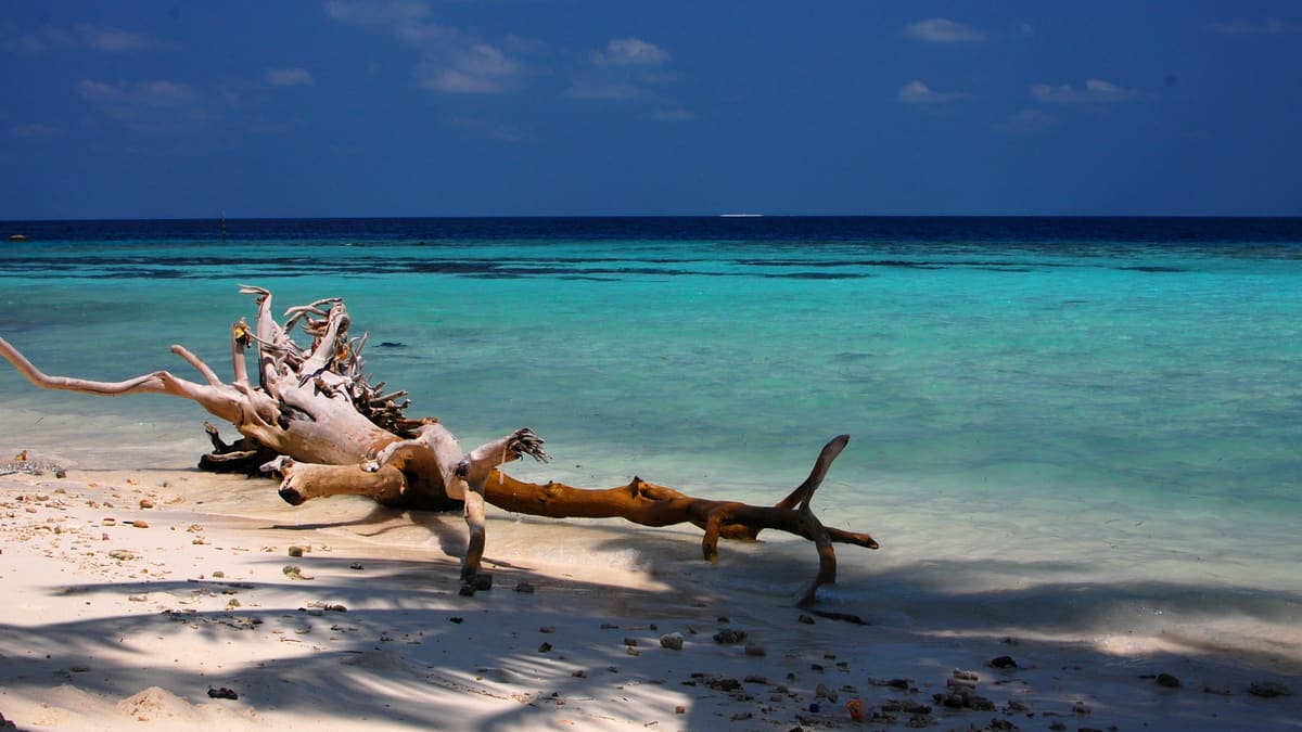 Вся страна: Maafushi, Gulhi и Guraidhoo