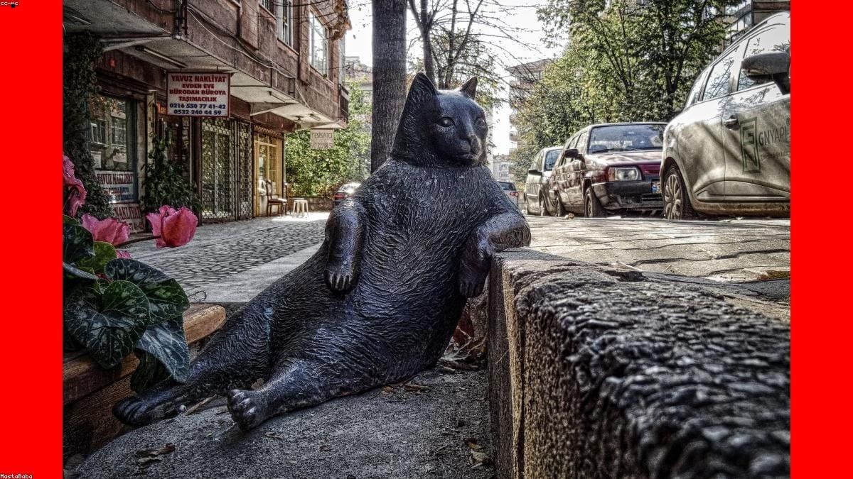 Сахалин: Ограничения и важные правила
