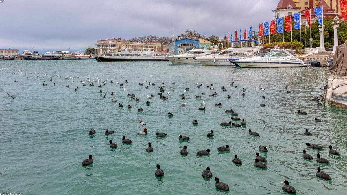 Юг России и ЮФО: Кавказские каньоны и водопады