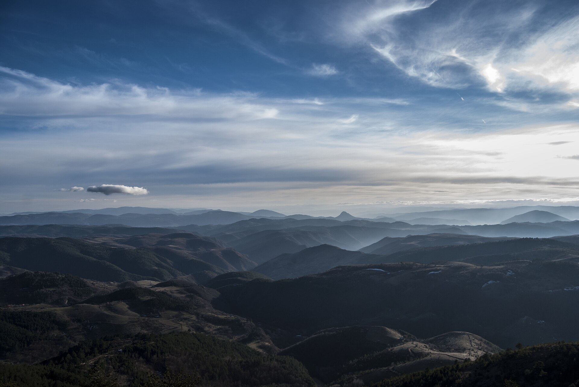 Zlatibor Tornik, Сербия